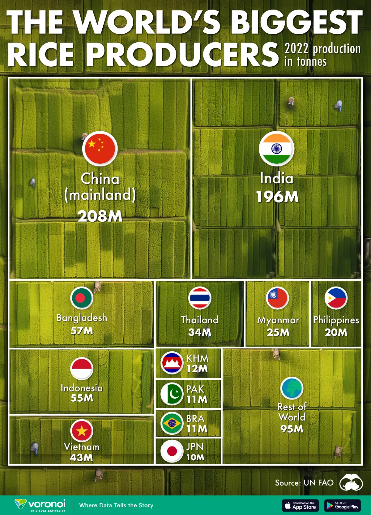 世界と日本の米生産量ランキング！日本は何位？都道府県の1位は？